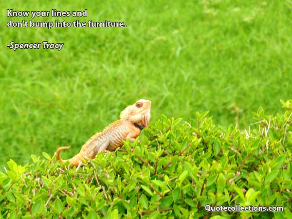Spencer Tracy Quotes1